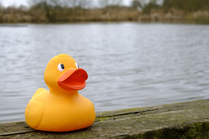 GIANT Easter Duck Trail